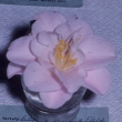Peach Blow
